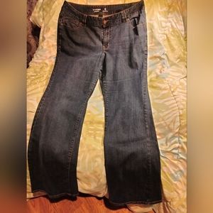 Lane Bryant / Genius Fit / slim boot cut / Size 20 tall / dark denim pants